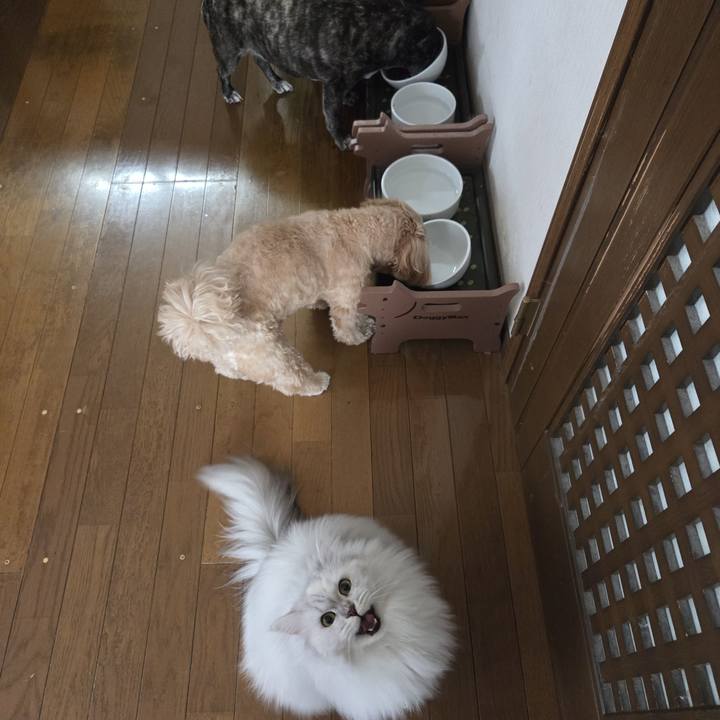 6eff49b5 fa50 4345 9acf 77afac8ded6d 1772902426553