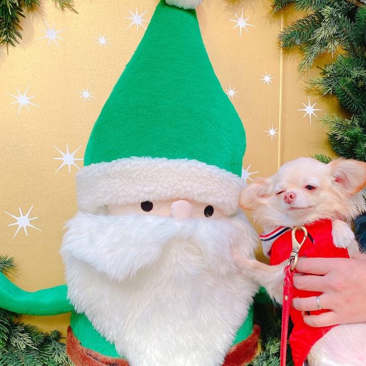 6eff69c4 8657 4a6a b525 5d169693a737 1639566494801