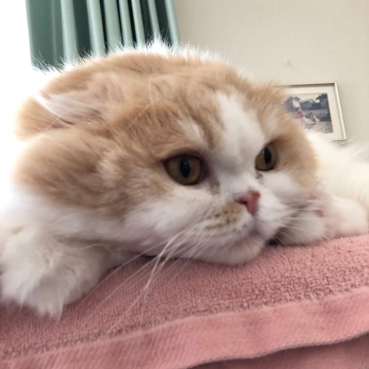 6eff974d 0618 40a4 9f50 0434a3496faa 1614142447821