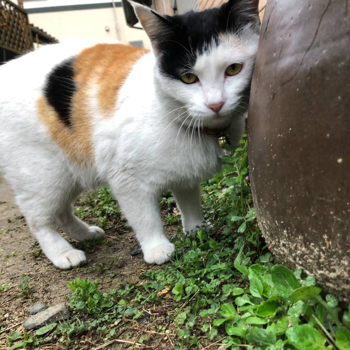 6effc351 d482 4238 8f2c c10e05012378 1615933111946