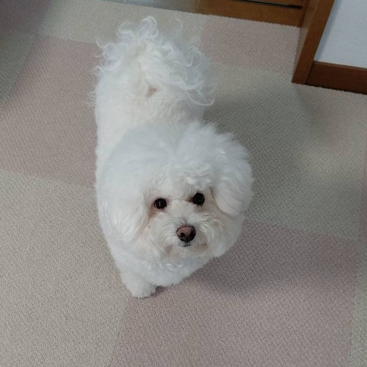 6f000e8d 6524 4a99 8269 881976c1c4ab 1595897562357