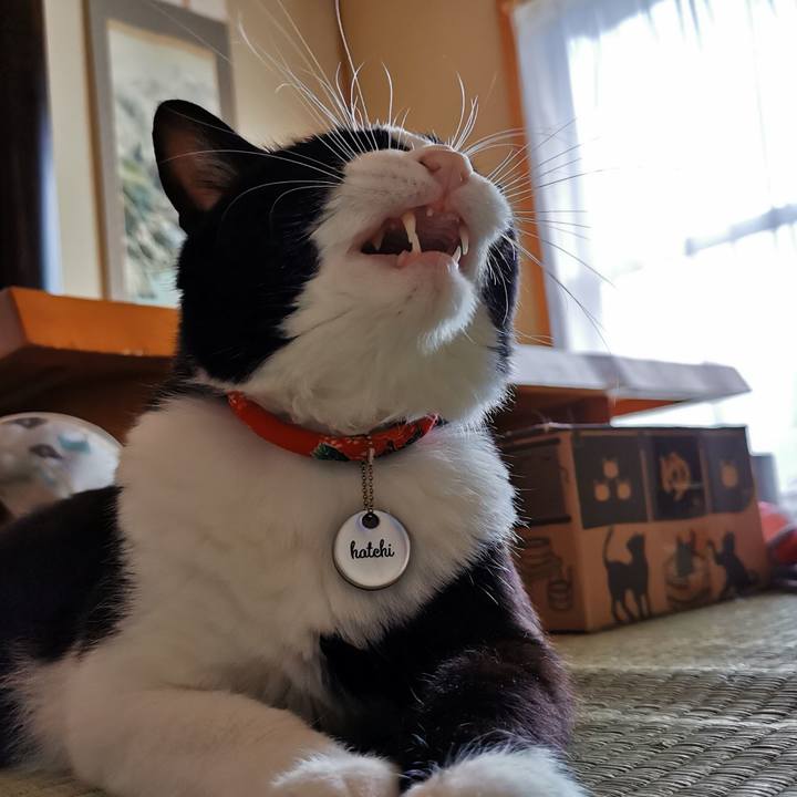 6f0032df 7685 45b1 855b 5443ee410a4a 1655642541555