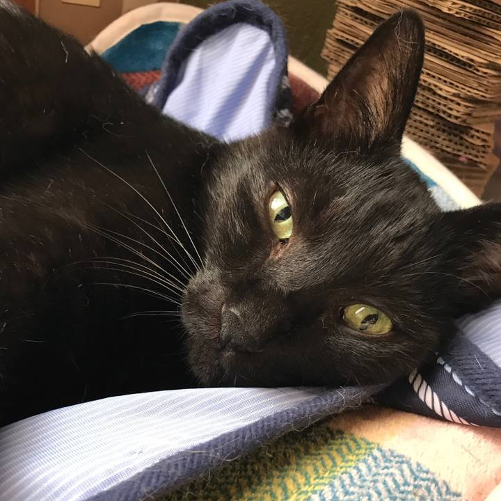 6f007543 3b05 41c3 b446 10d298d5f2b2 1536624052352