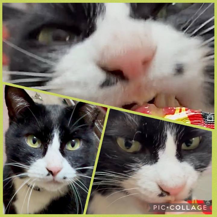 6f00c78c 3c68 4b93 b526 45a7e6918086 1773888591383