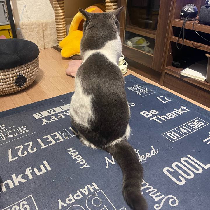 6f00d2b6 7a7b 47f3 ba22 b7762ca98a59 1712843166807