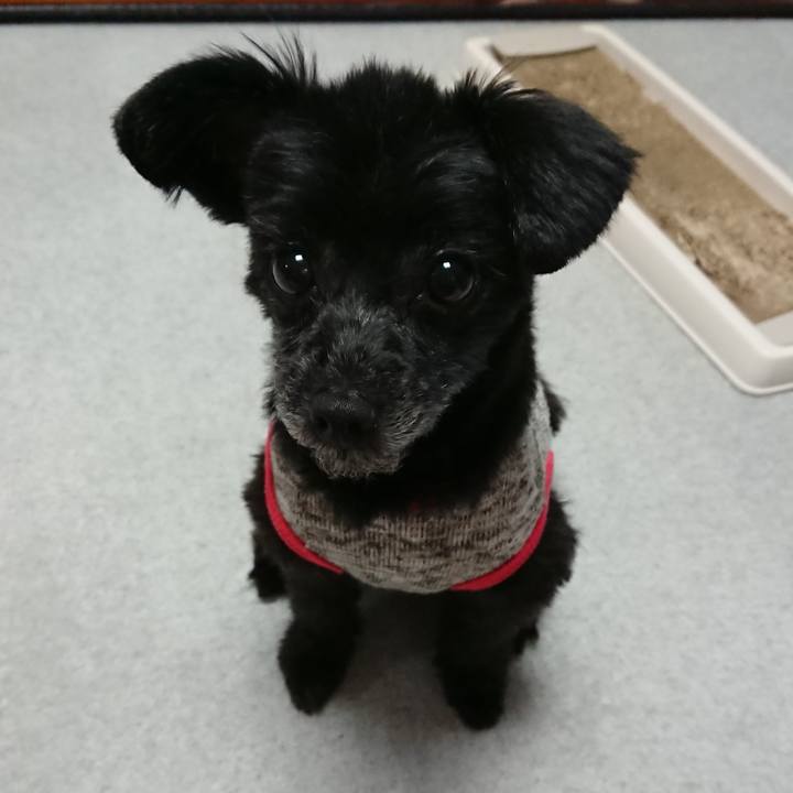 6f00dfb8 c768 4076 b84f 82c4328e9e5d 1518625146770