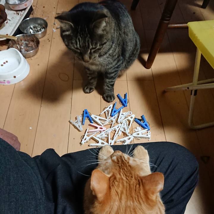 6f00e569 c0fb 40a2 a665 4b4a6648b3d5 1642674803166