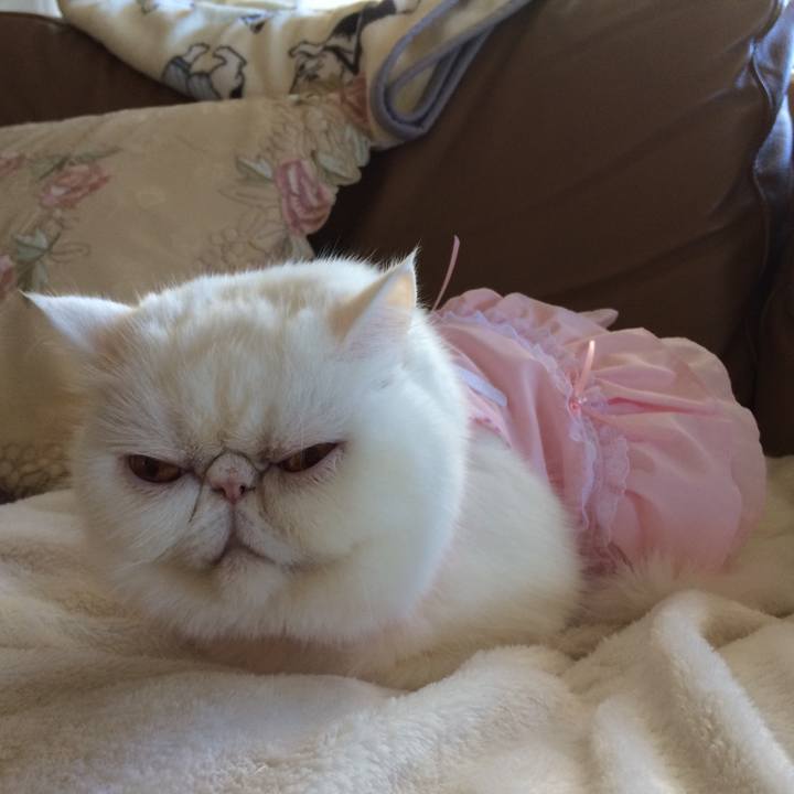 6f00fbf3 4eff 470f 80f6 811fe63a6b9f 1743257852320