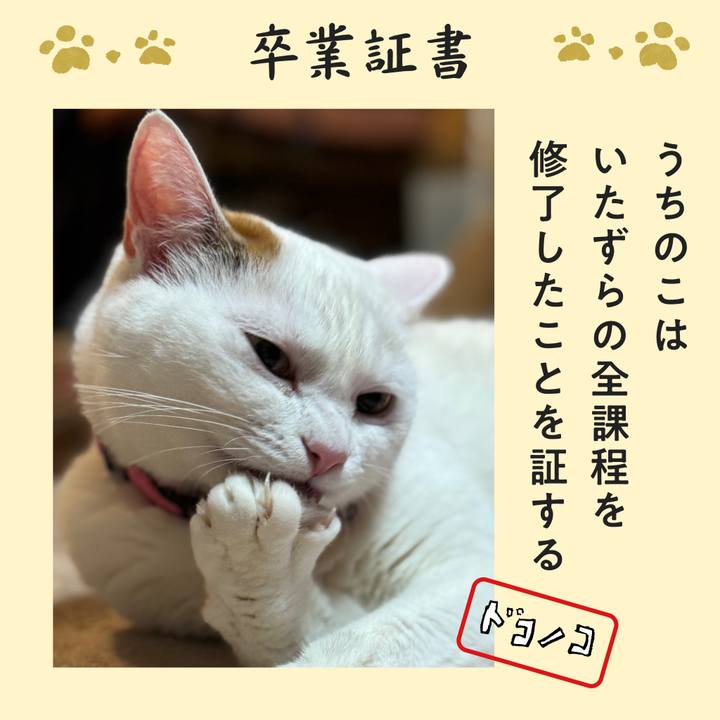6f011f56 1d8c 4100 8ca7 8806429dc1c3 1771928075887