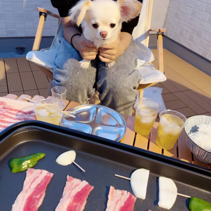 6f012a11 b10e 4455 a982 5d0eac813e00 1689598934501