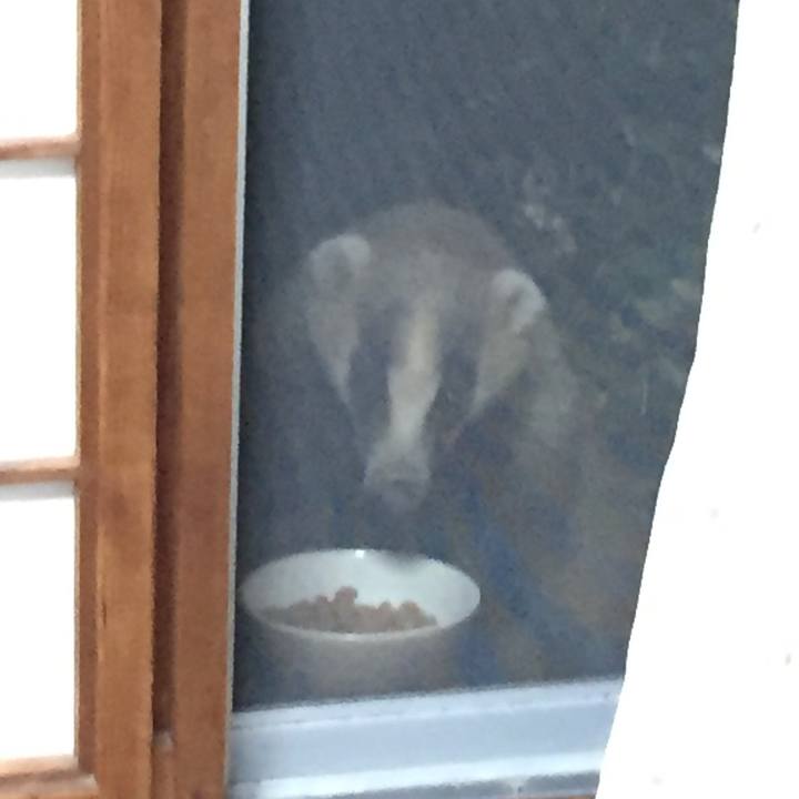 6f012cd9 7c04 4117 8891 4bdf1224f1b4 1656679151431