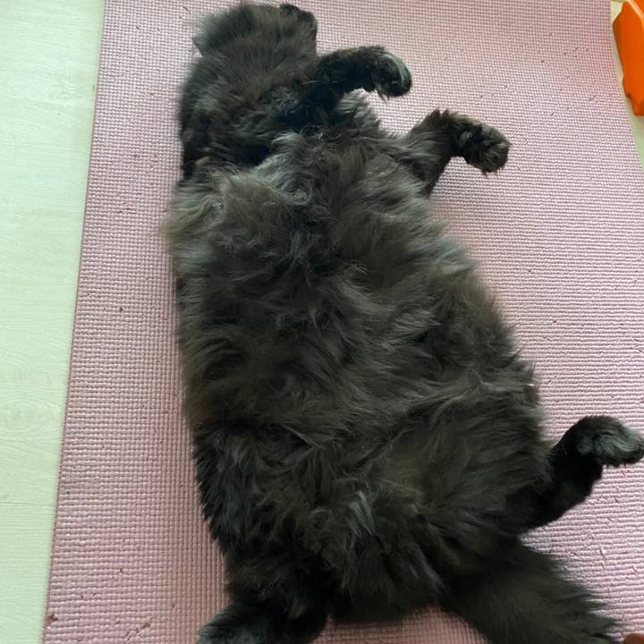 6f012de6 d34f 422d 8933 88a696a44d3a 1583634104218