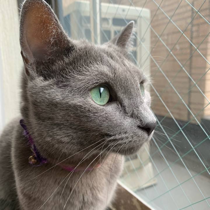 6f013ab4 e629 485e 8c34 6b2fe61faf44 1656973787692