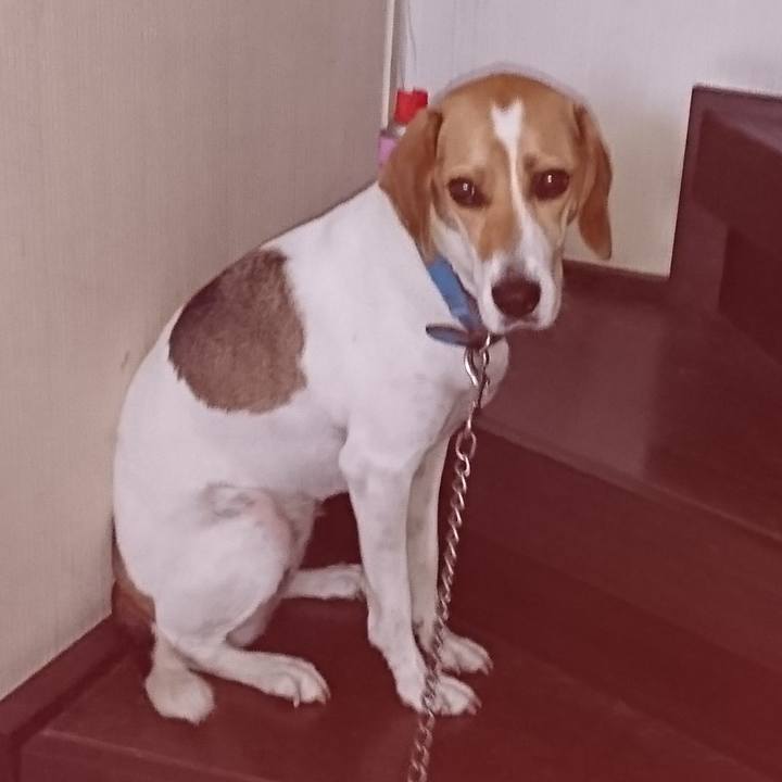 6f0160f1 6089 4130 b768 8d8be23a67ab 1568466917345