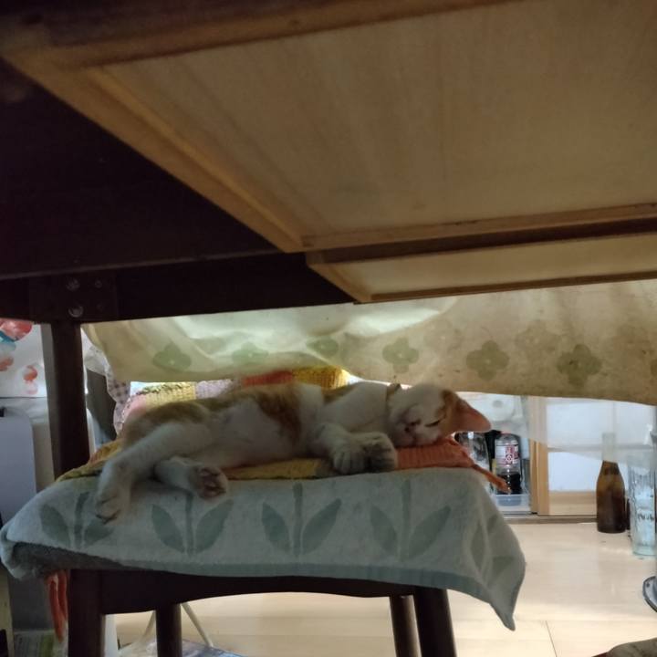 6f01886e 67fd 458a a786 73e28d424a84 1732863812165