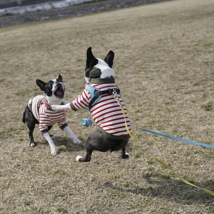 6f01d705 8455 4948 8fd3 43fbb3faa61d 1519632664126