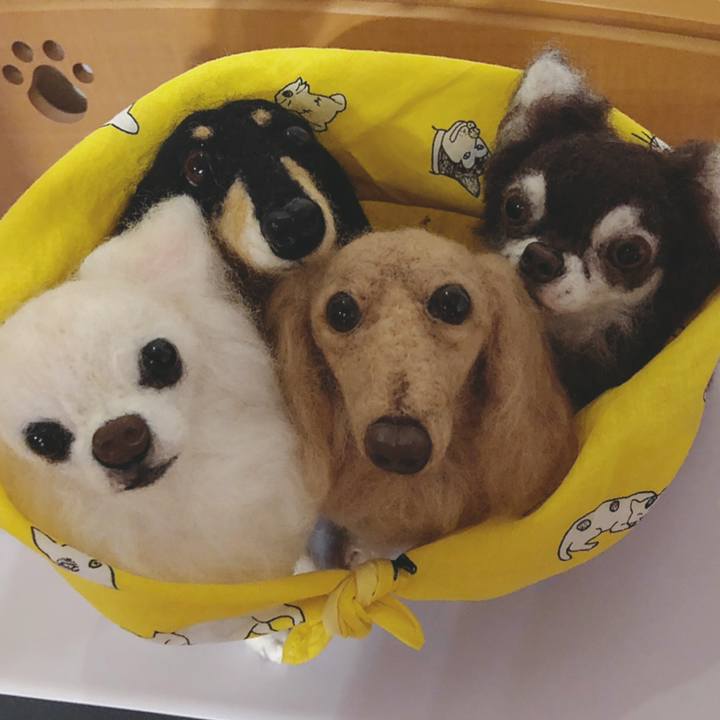 6f02068b d794 46e2 93b8 77eb449a0eea 1564064286085