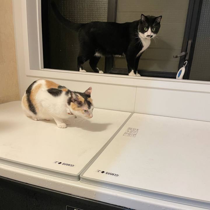 6f0215e3 47e6 4956 9817 7f30b1f74518 1695731669315