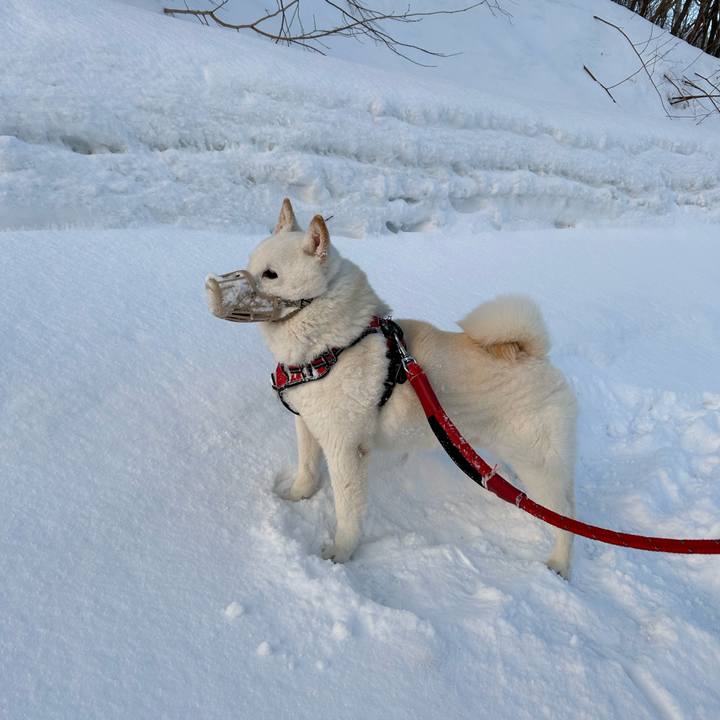 6f0221f7 0fa3 41cd aef5 4cae0a5832bf 1708122619177