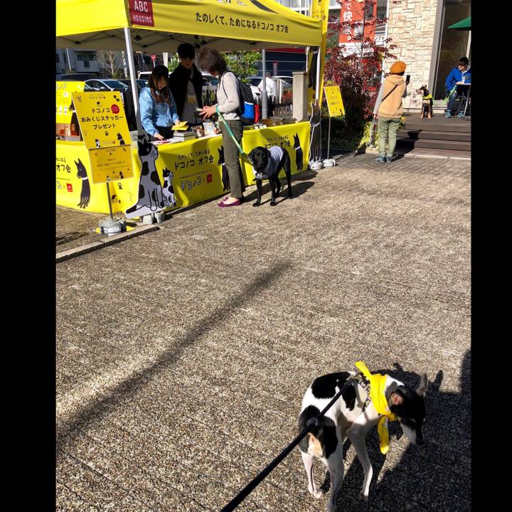 6f023322 17bb 4b86 97ac 825a1c91a896 1541846527712