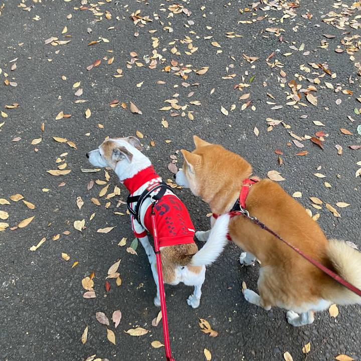 6f02364b 3a00 4218 a4c1 f50419937966 1605421077570