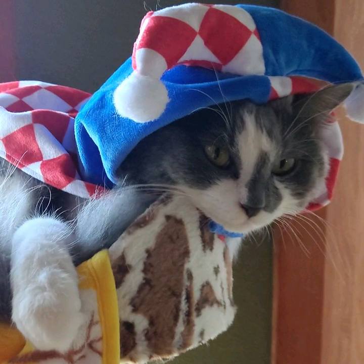 6f024062 fe1c 4819 8170 fde985b05b84 1599287057639