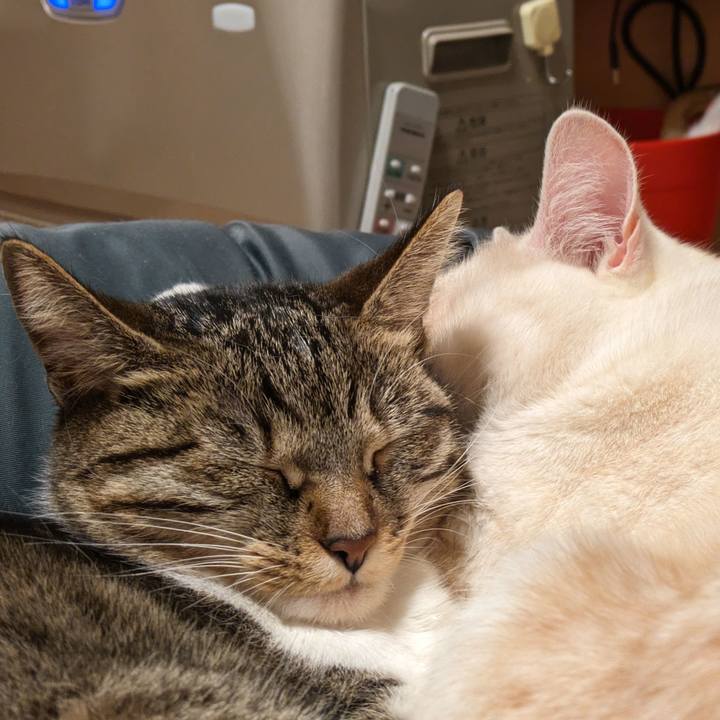 6f0275c7 9ea4 4dea 8673 400fae6a9ecb 1708258288194