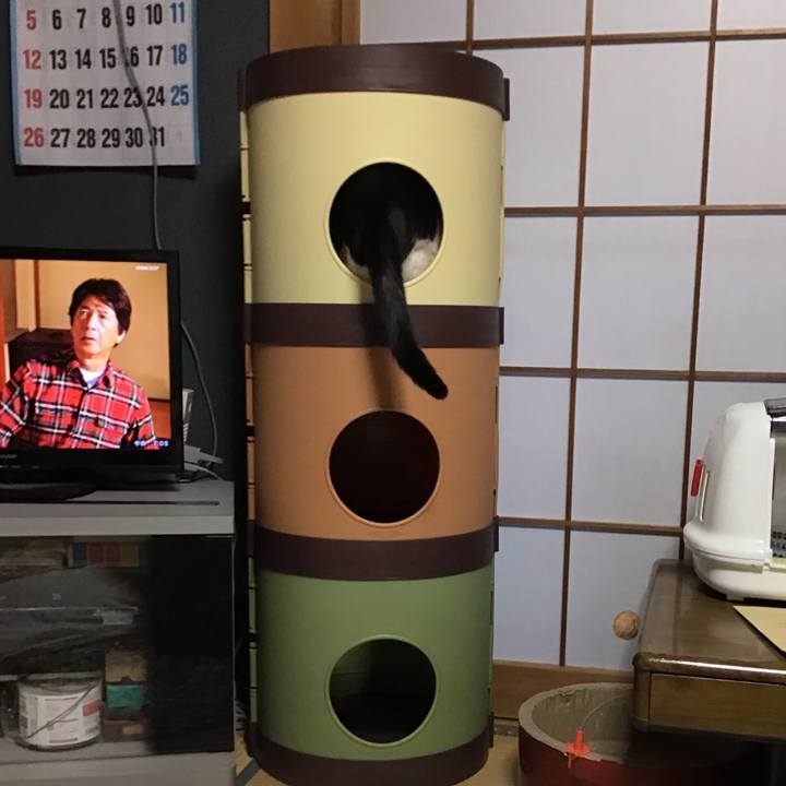 6f0284d2 7f01 4156 8ccc 41b4faab758d 1638311586407