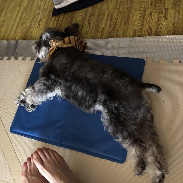 6f029068 8e56 44c8 b8d4 bea5bbc982eb 1530419913280