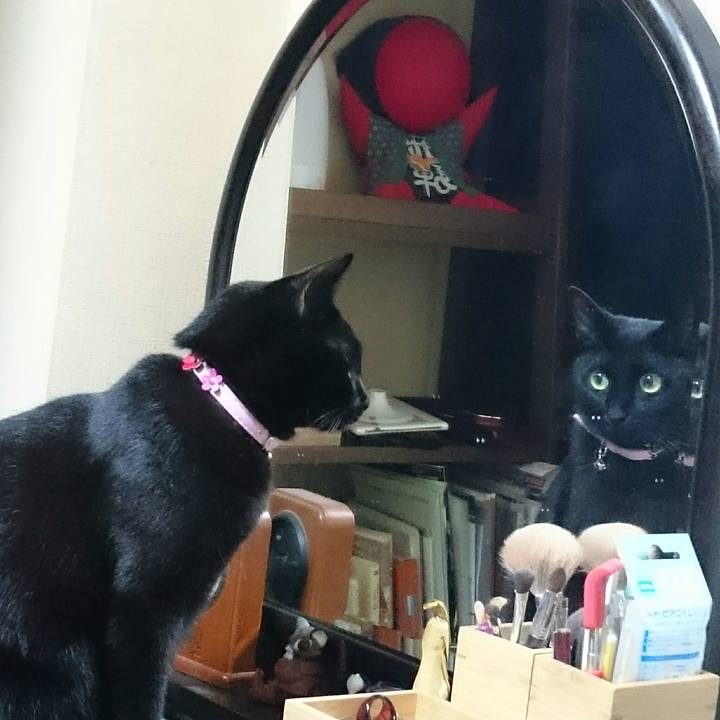 6f02c693 a1b5 4350 99c2 7493b098834c 1524613979403