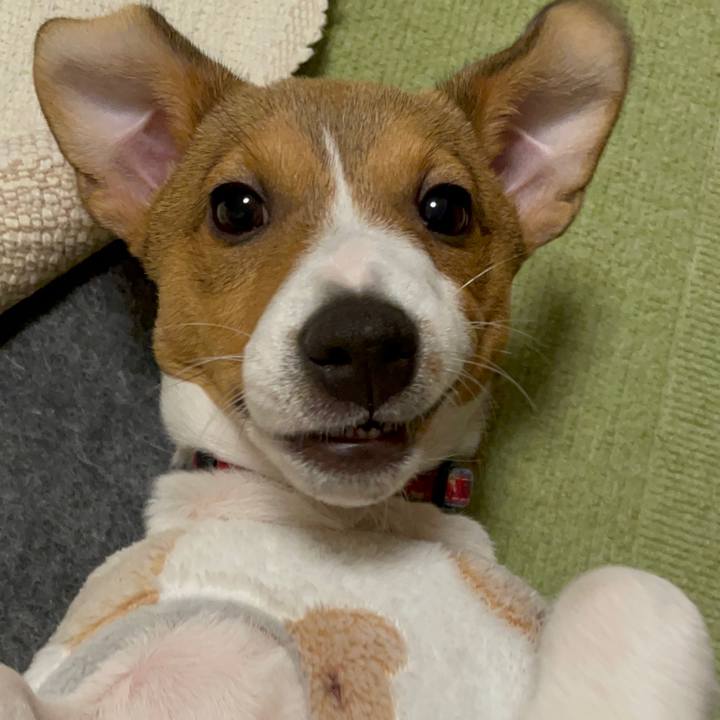 6f033df0 7764 4e9c 883d 82e6f8ba3ff5 1670075371651