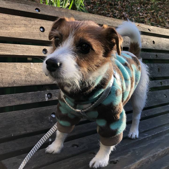 6f034756 bf28 4b1d 829b 6e1100b7c8d3 1546125865054