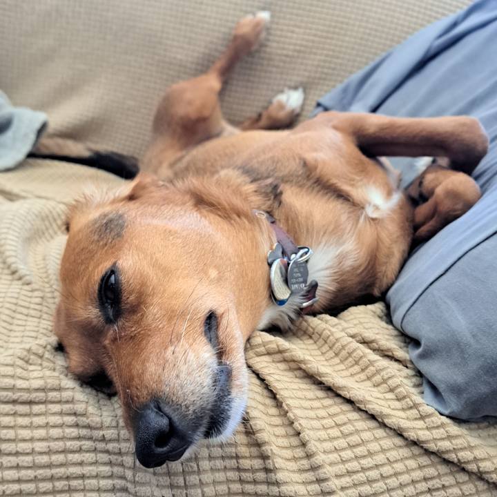 6f036230 44e8 4f88 8319 f2bcc38e701b 1765490925829