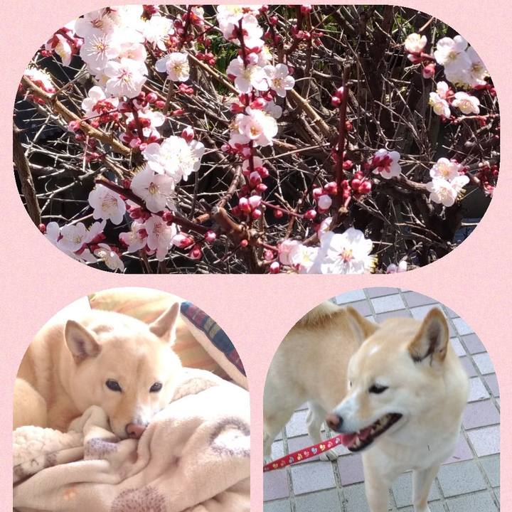 6f03669a 57b5 40b0 b300 f0520aef8ef7 1614124022395