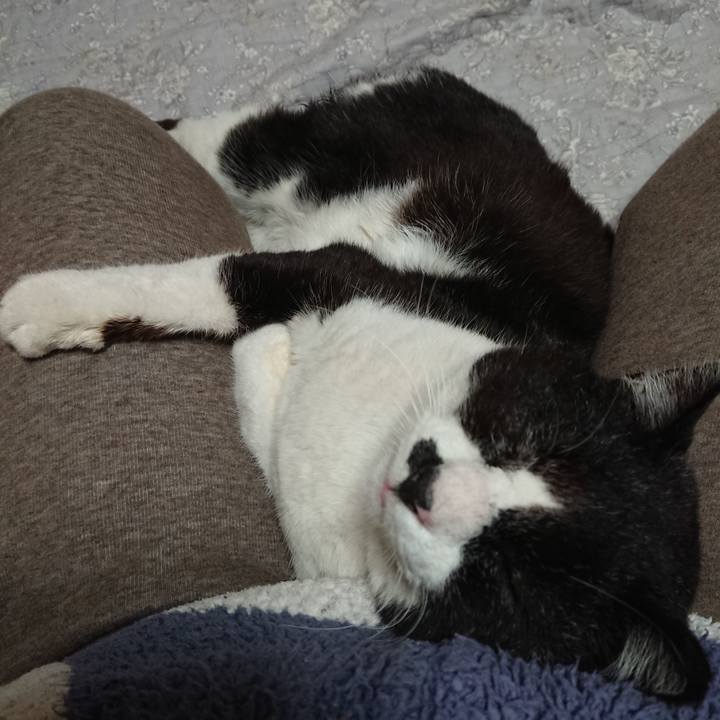 6f036d2b 5733 4c8e ab3f f00d9bbbe6e7 1649942077098