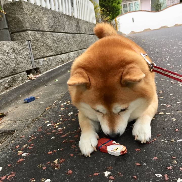 6f037384 24b9 4192 8323 e2a9ba2d2c33 1577102996196