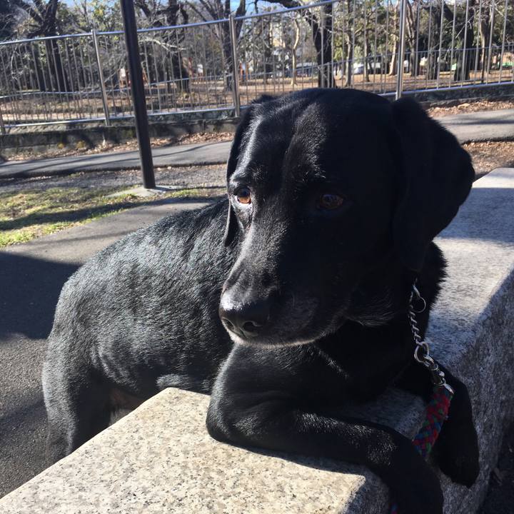 6f038bd2 f9a9 4efa 8d89 ea567f9fcd90 1517964829148