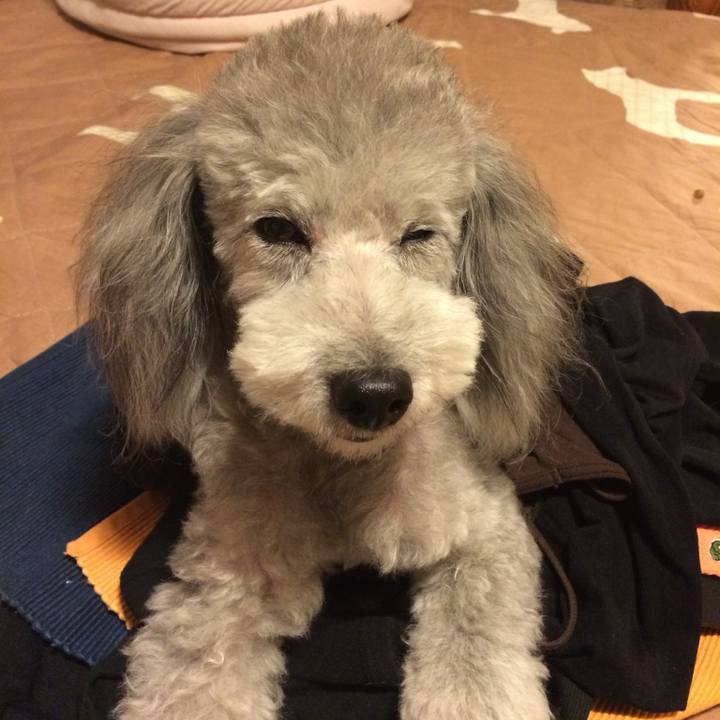 6f03c092 1586 40e3 9418 427d20fc28cf 1764030632238