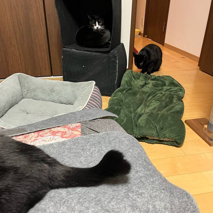 6f03c9b3 2e1b 45f1 a776 335073e79a43 1643286734946