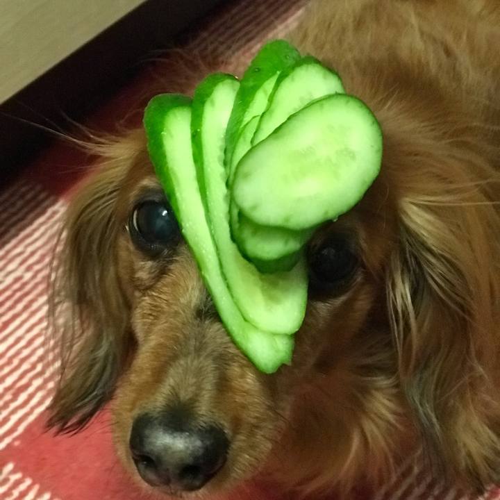 6f03df9f f866 46c2 b350 92e86f81cf5c 1547805240575