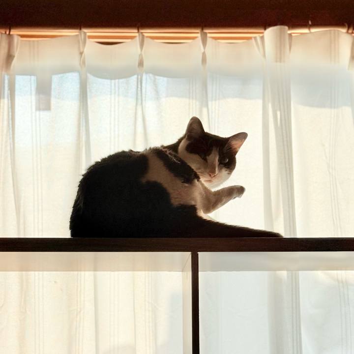 6f03e28d fbda 4fd5 bf7c 410651e63c0c 1734316857037