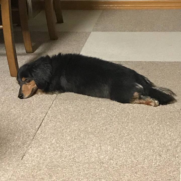 6f03e2fe 8830 4496 a5a1 c85c5ffe0979 1522451774937