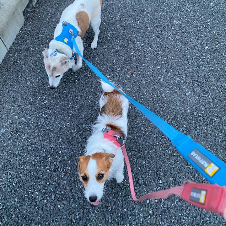 6f03e6bf 015b 4484 9c68 b1c9a3b01bf9 1726692241210