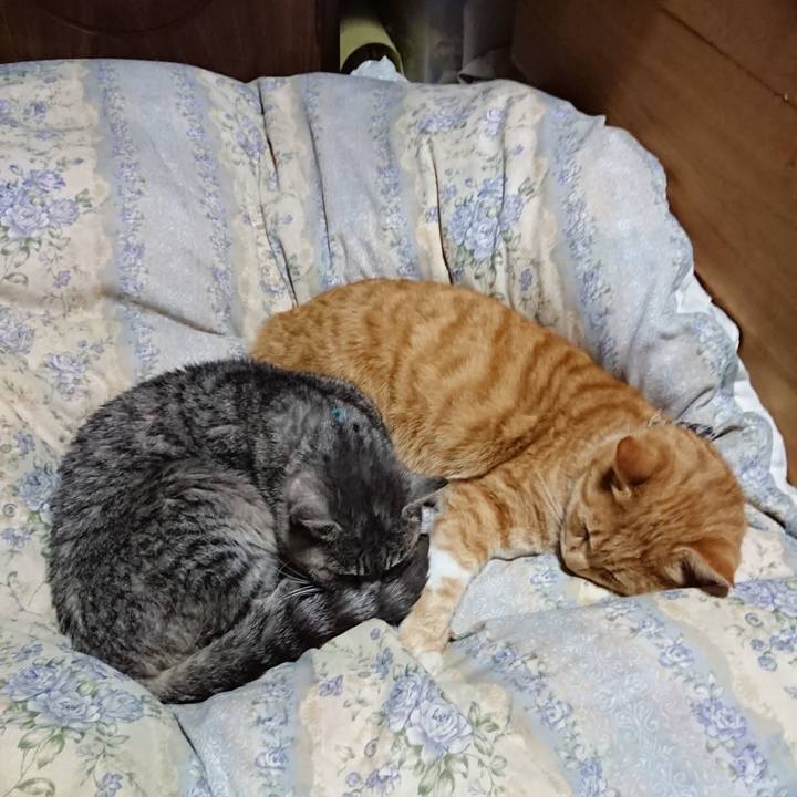 6f03e8d6 1f36 440b a10f 22d04937a561 1575461579994