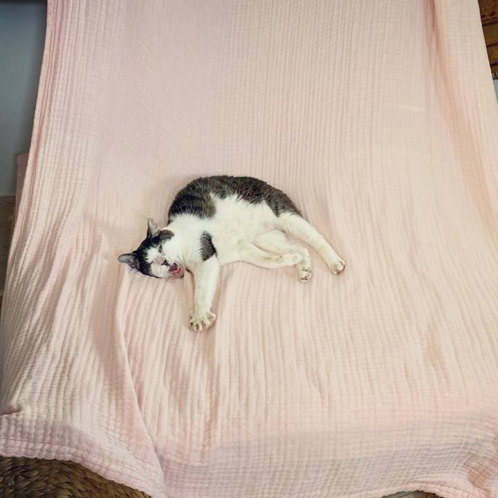 6f04384f d02a 44df bd3b 5226b513dcf5 1598347322124