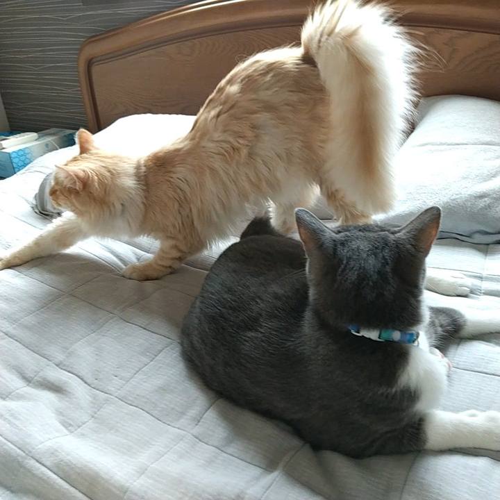 6f048948 1f32 4229 860a aea9471c55c7 1623139295751