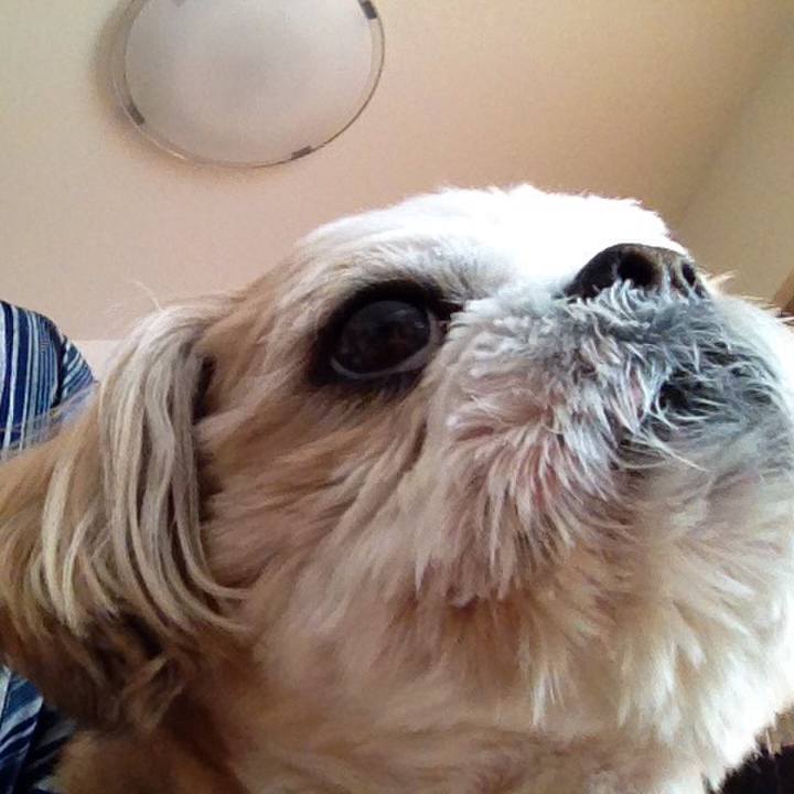 6f048d03 c7ba 4957 a9bb 0bced7fecf22 1515728326557