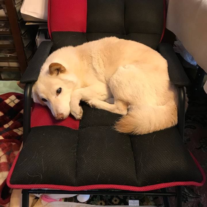 6f0490ff 24a7 48c4 adda 4903fae4d9de 1641038313545