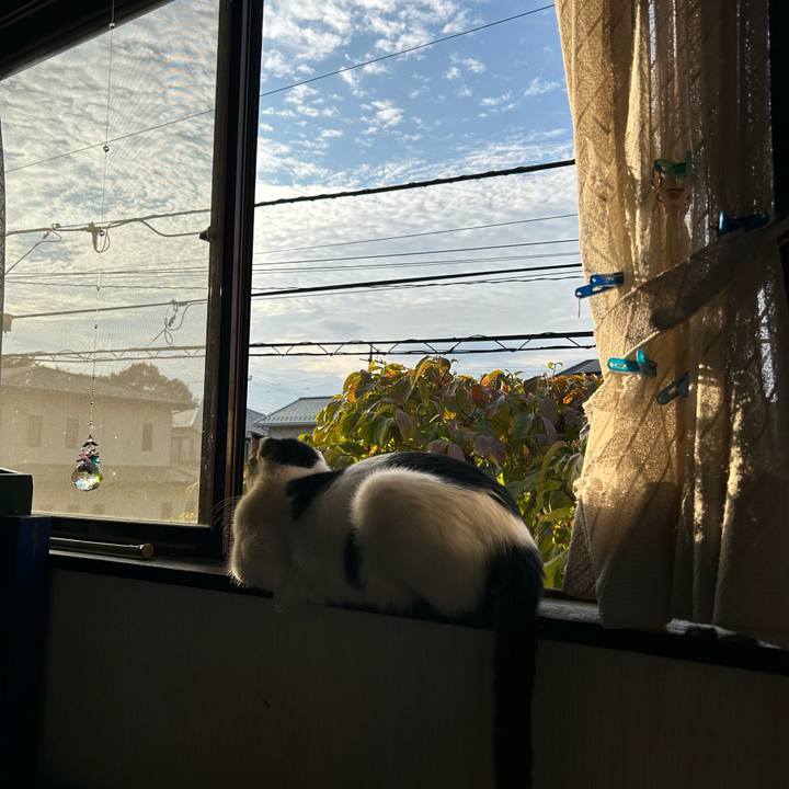 6f04a4e3 5d48 48aa b1d6 a5feda0a9f84 1759532503989