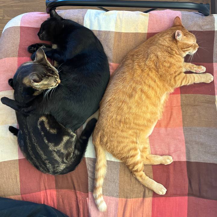 6f04cfa3 97b4 4089 91b4 774be2afbe22 1753311121852